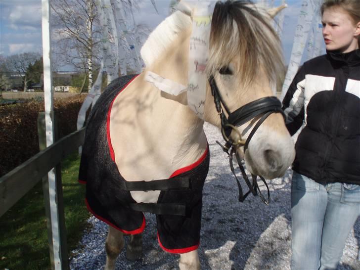 Diverse billeder af Gule billede 43