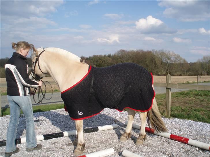 Diverse billeder af Gule billede 44