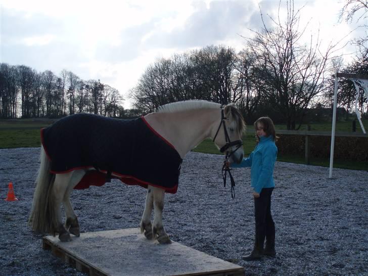 Diverse billeder af Gule - Tarzans passer Laura var os med på turen og fik lov til at prøve banen med Gule.. :) billede 45