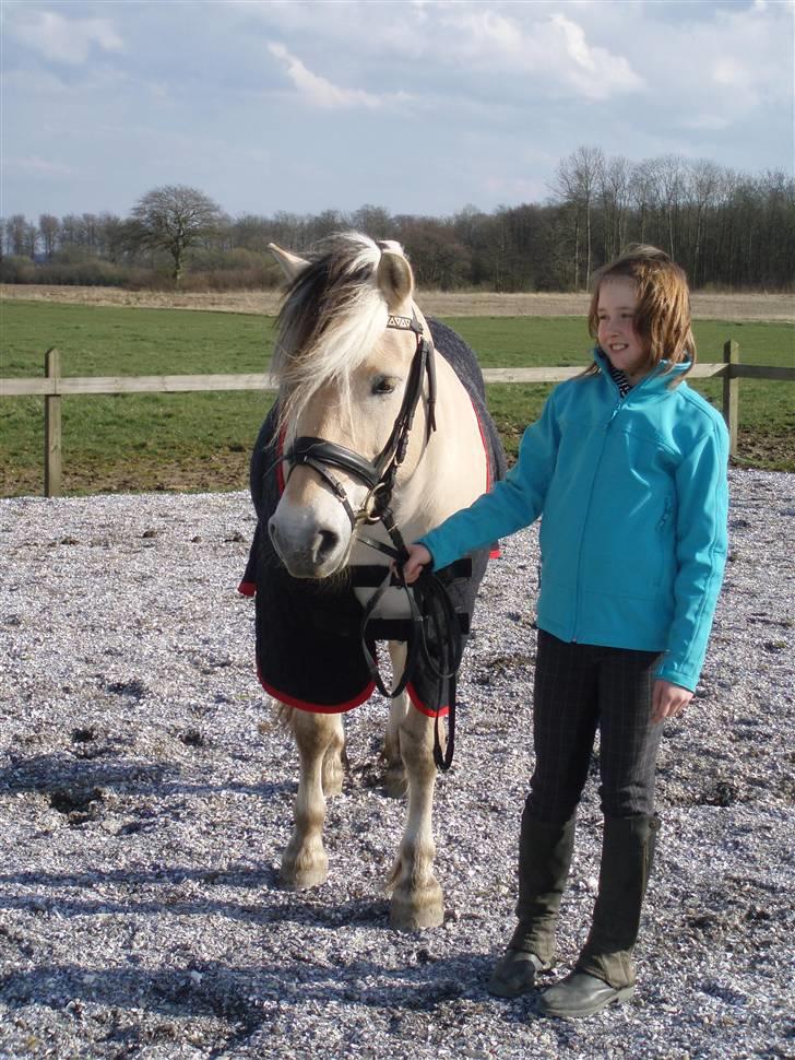 Diverse billeder af Gule billede 46