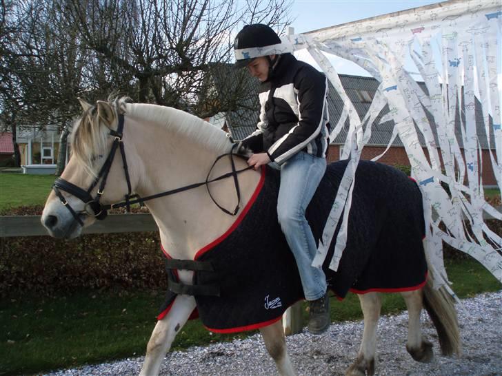 Diverse billeder af Gule billede 48