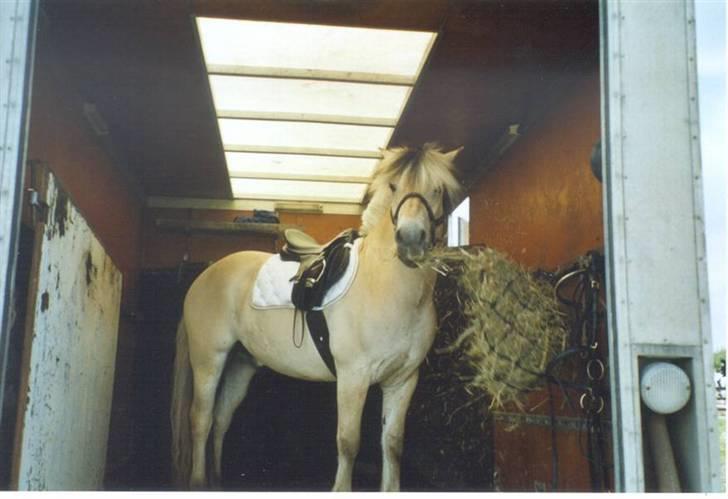 Diverse billeder af Gule - Gule i pausen under vores andet stævne sammen i Boller forår 07.. billede 49