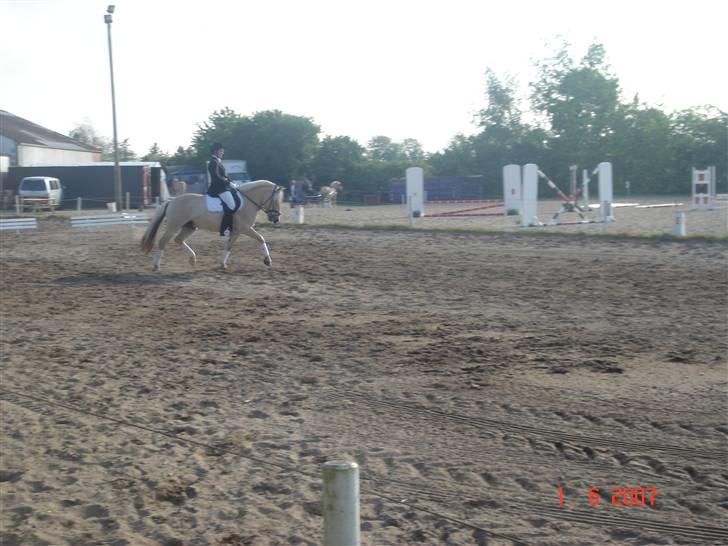 Diverse billeder af Gule - Birken 07 :) billede 50