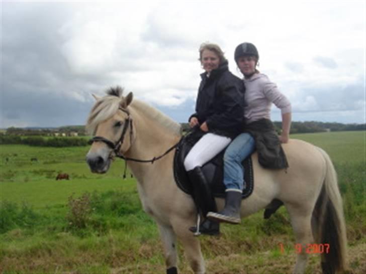 Diverse billeder af Gule - Revsø 07 på jagt efter en tabt gamache efter terræn let. ;) Første gang vi rider 2 på ham.. :) billede 51