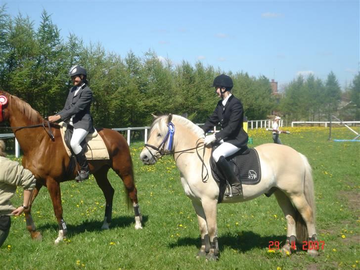 Diverse billeder af Gule - Fra præmie overrækkelsen til vores første stævne i brædstrup 07.. en LD spring mener jeg.. billede 52