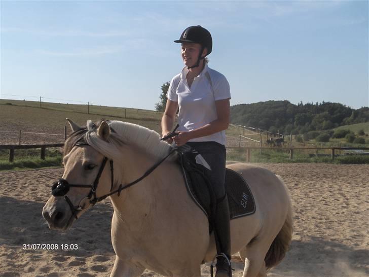 Diverse billeder af Gule - På Skårup Overgård efter en gang springtræning hos Jørgen Albertsen.. :) billede 53