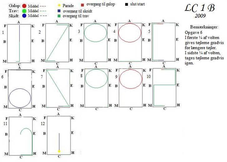 NYE dressur programmer - LC 1 B billede 2