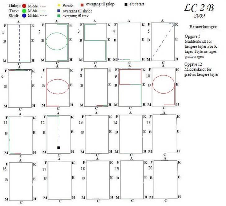 NYE dressur programmer - LC 2 B billede 3