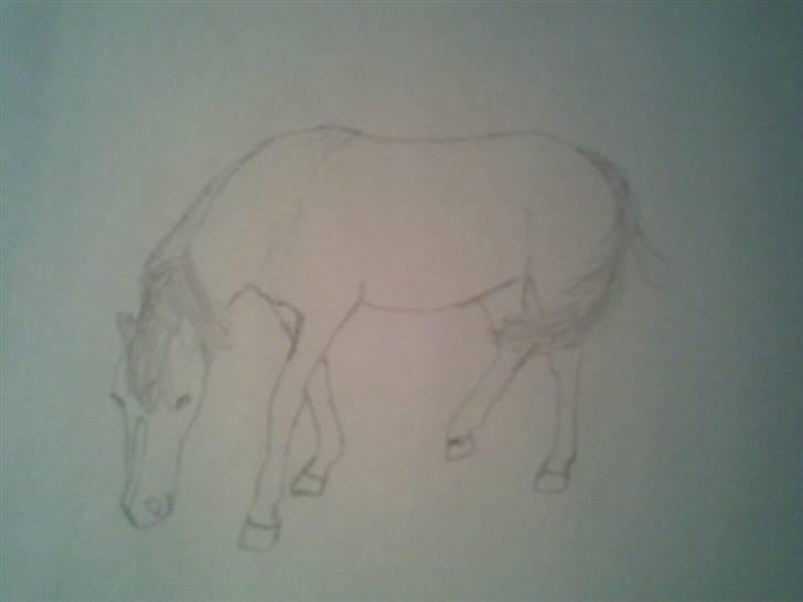 Tegninger og malerier - Luna :) billede 8