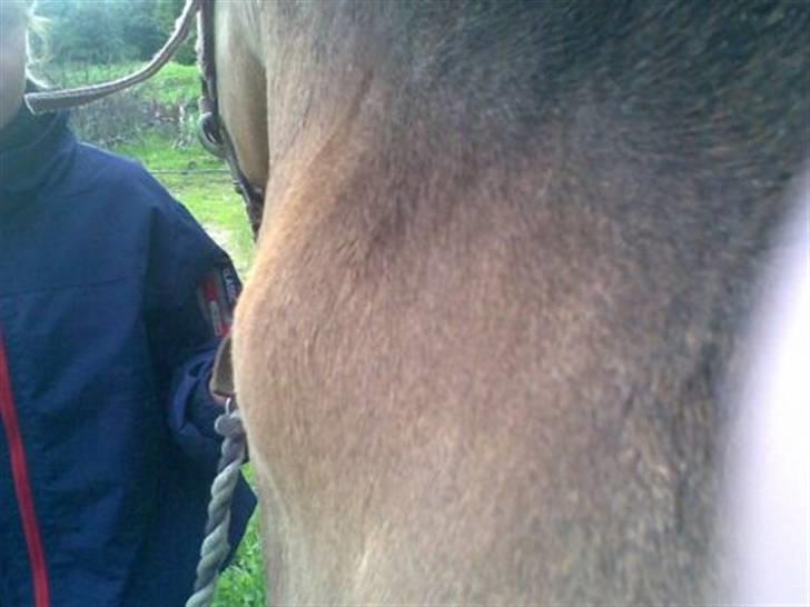 Byld efter vaccine billede 2