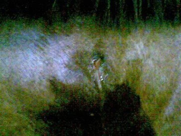 Byld efter vaccine billede 5