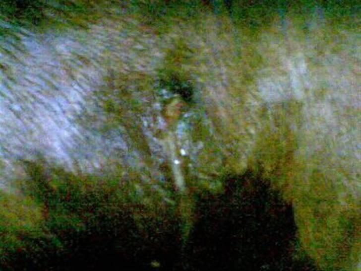 Byld efter vaccine billede 6