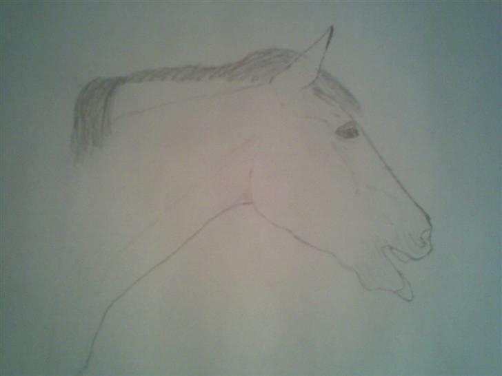 Tegninger og malerier - Sofie :) billede 12