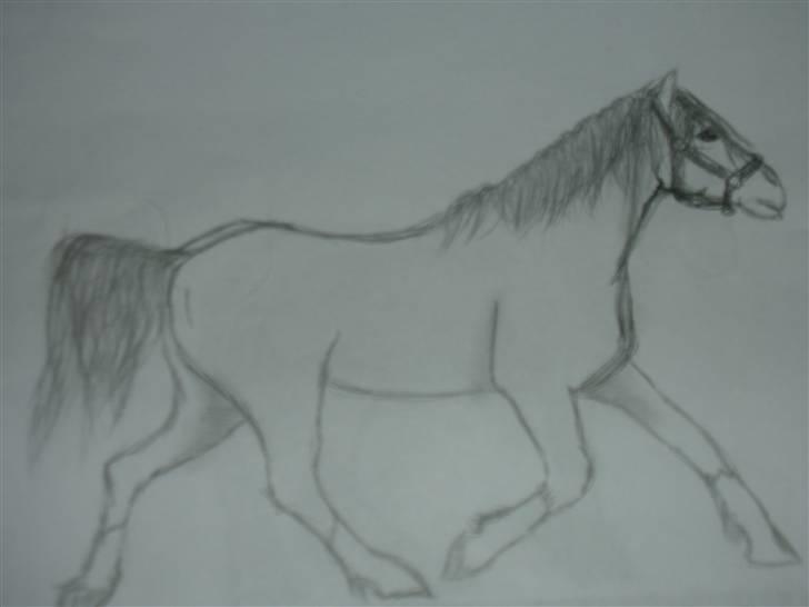 Tegninger af heste og venner - Tegnet uden hviskelædder! ( Ronja) billede 9