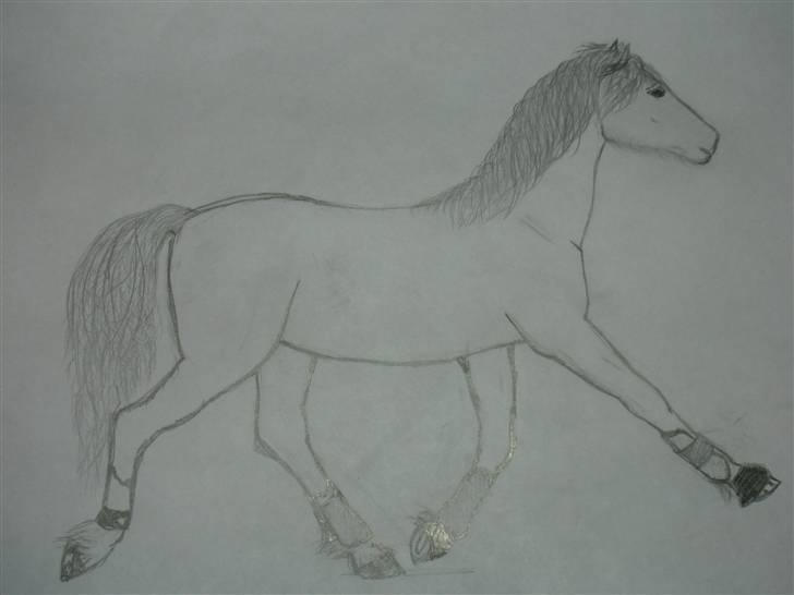 Tegninger af heste og venner - Miss Charmeur Shadow...   Ejer: Lykke billede 11