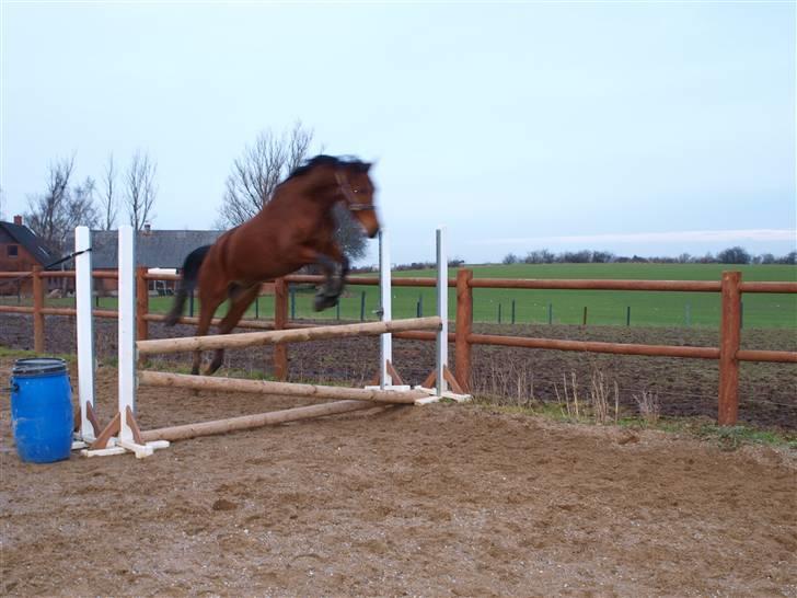  Min tid med Bansam <3 - 13 januar 09
løsspringning
Min spring stjerne ;D billede 23