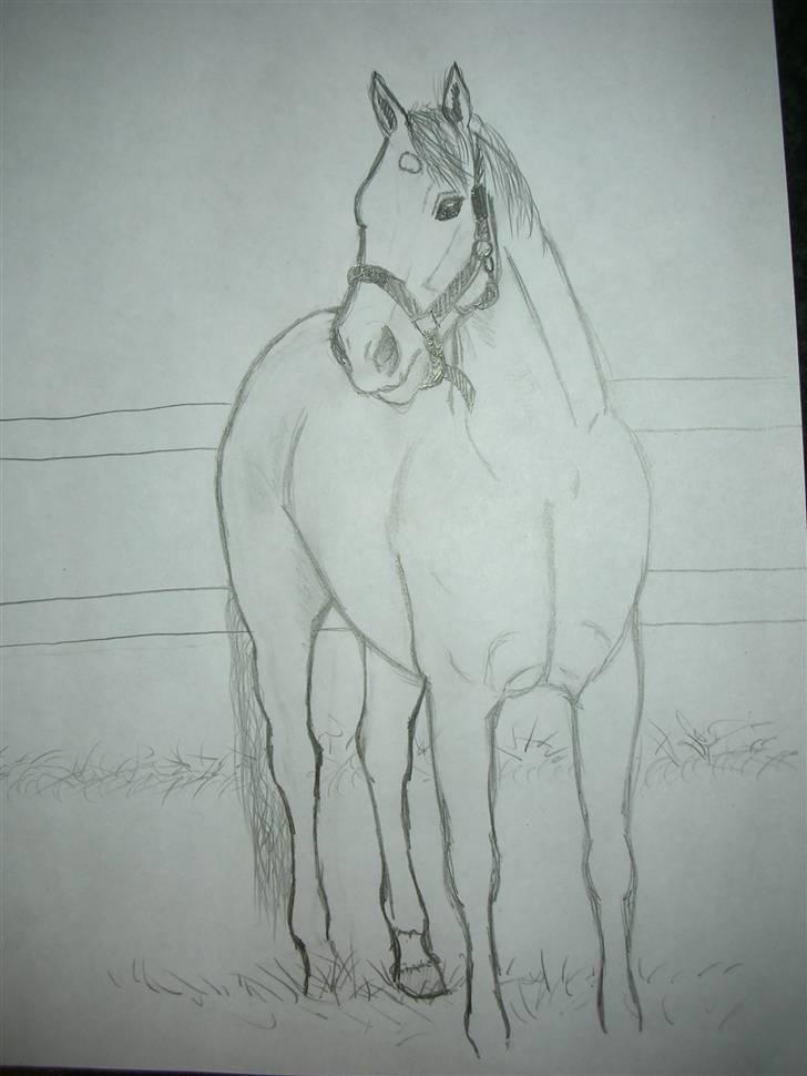 Tegninger af heste og venner billede 13