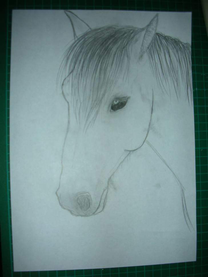 Tegninger af heste og venner - Silas billede 15
