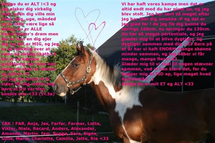 (Digtet) til AMIGO <33 billede 1