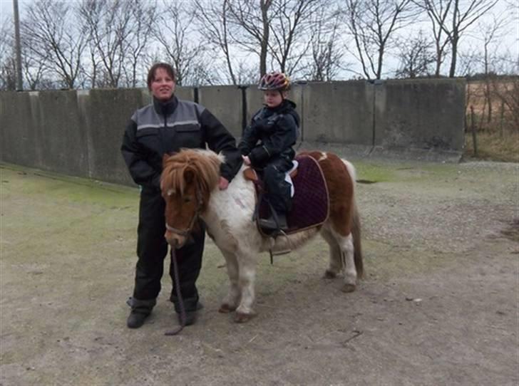 Tidligere heste,føl og ponyer - Horsemosens red rose solgt til carina og familie oppe nordpå. billede 12