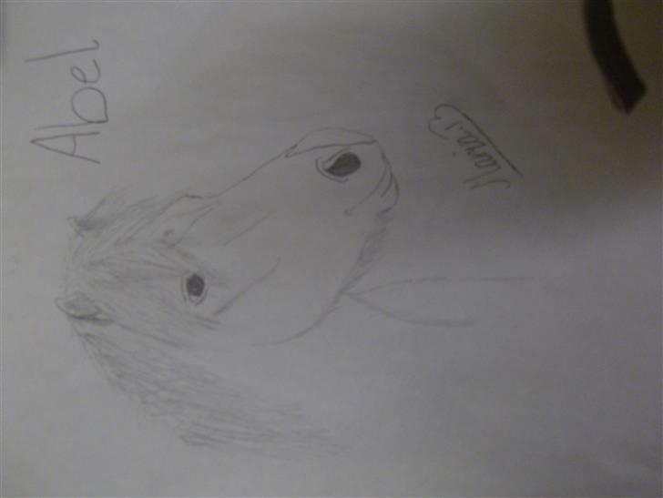 Tegninger jeg har tegnet til andre# tegner kat 3 ponyer med udstråling # - Abel <33 billede 1