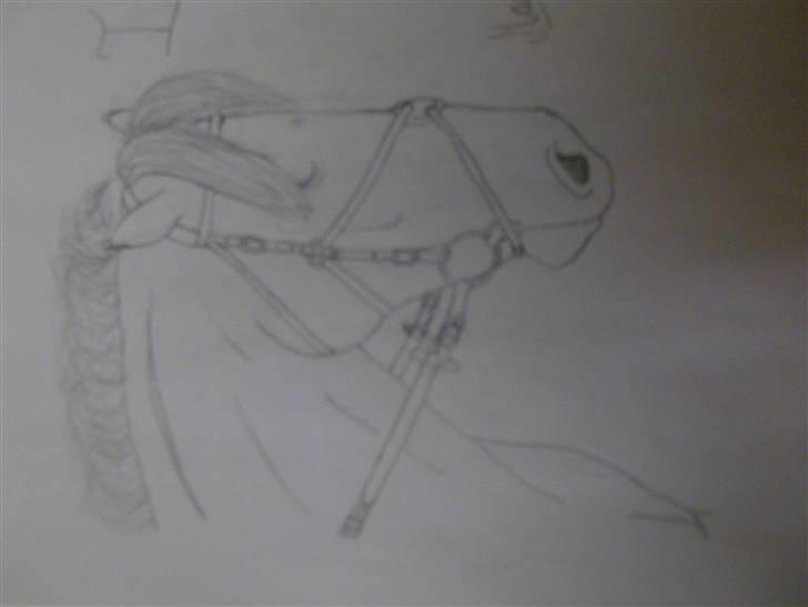 Tegninger jeg har tegnet til andre# tegner kat 3 ponyer med udstråling # - Ingolf <33 billede 2