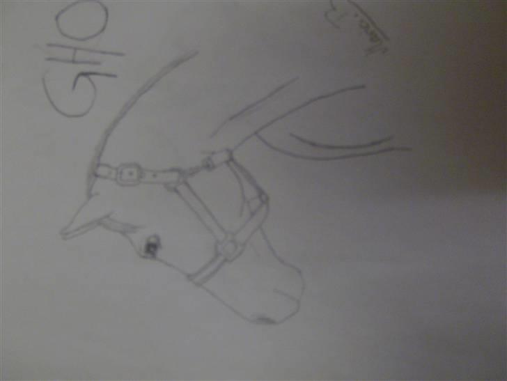 Tegninger jeg har tegnet til andre# tegner kat 3 ponyer med udstråling # - Ghoust <33 billede 3