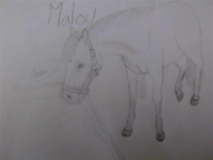 Tegninger jeg har tegnet til andre# tegner kat 3 ponyer med udstråling # - Malou <33 billede 5