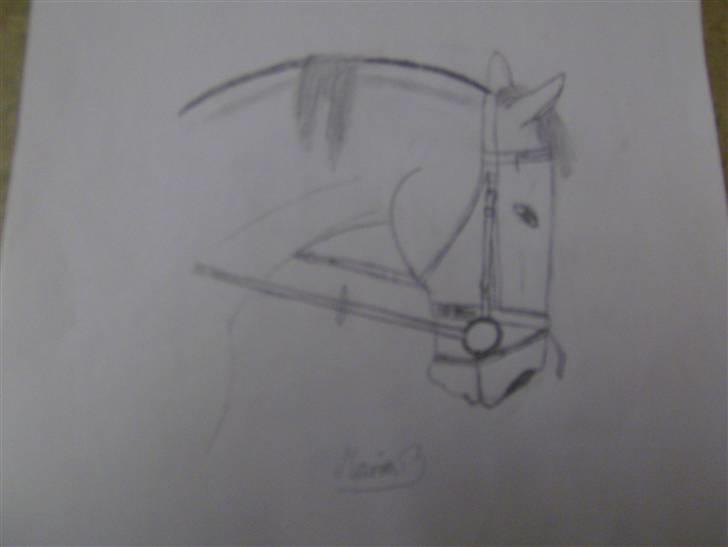 Tegninger jeg har tegnet til andre# tegner kat 3 ponyer med udstråling # - Plexi <33 billede 6