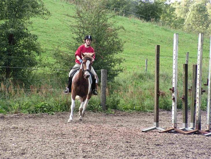 {{currentPhoto.altText}} billede {{currentPhoto.number}}