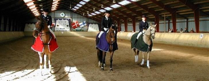 Stutteri Hønnerup, min arbejdsplads. - 1. Wendie Hagedorn/Hønnerups Pink Lady, DM Junior. billede 2