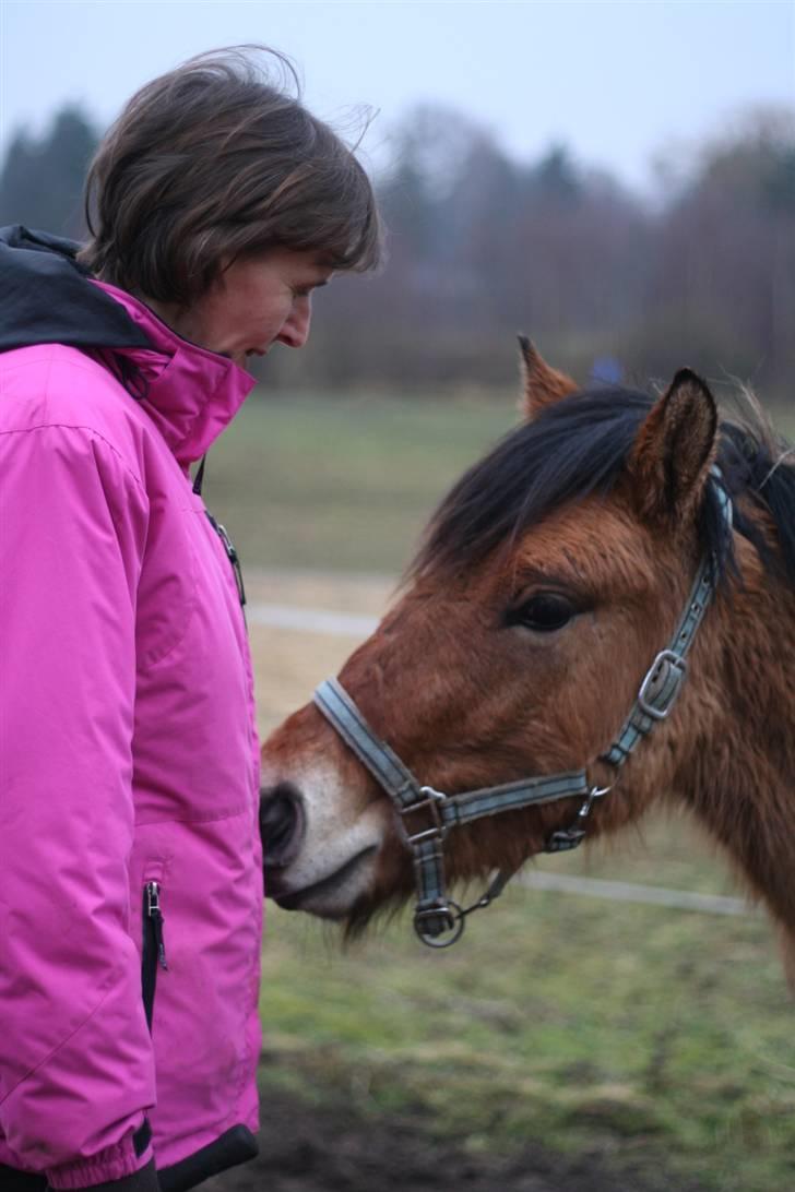 Thorshøjs Felix 2009 - 1.Min mor og Felix snakker billede 1