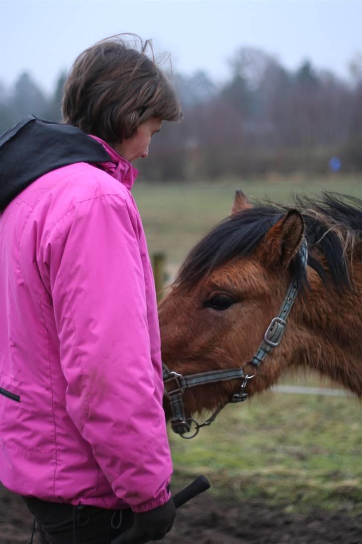Thorshøjs Felix 2009 - 2. Felix vil meget gerne have en godbid billede 2