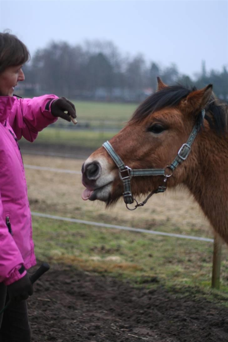 Thorshøjs Felix 2009 - 3.Felix laver grimasser billede 3