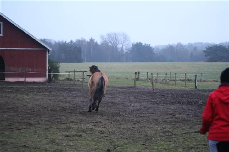 Thorshøjs Felix 2009 - 21. så er det om at komme igang billede 21