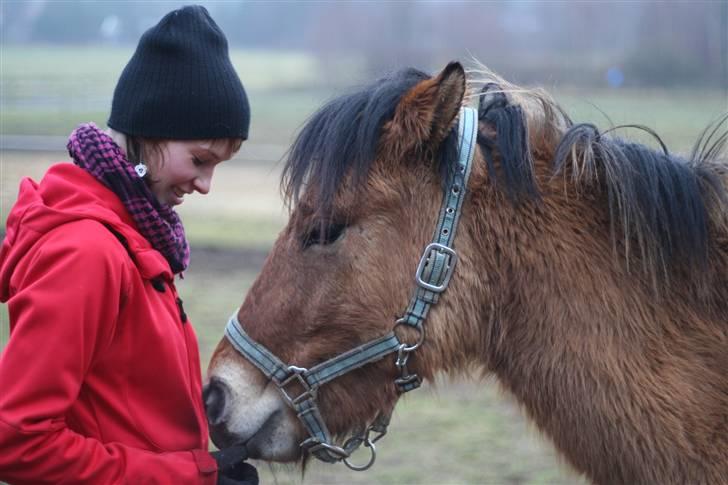 Thorshøjs Felix 2009 - 23.mig og Felix elsker en lille hyggestund billede 23