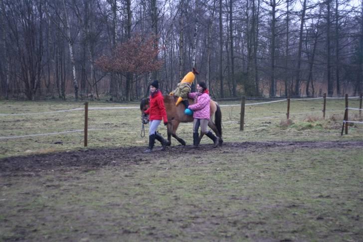 Thorshøjs Felix 2009 - 31.Træning med Mr. Banan billede 31