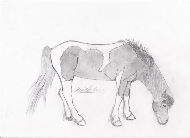 Tegninger af heste og venner - Sisses Smukke Islænder Björk billede 7