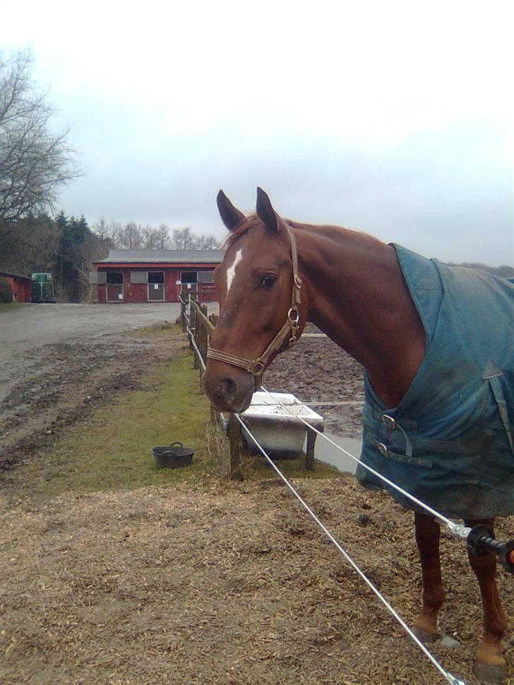 Tanja - leger i skolen (x total tyskeralbum, læs kommentarene og du forstår! xD  - Smukke Noi - TIL SILLO (: <3 billede 3