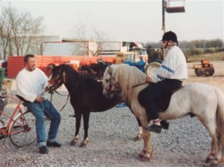 Sarai Familiealbum - Twyford major og Fronllwyd Nerys (Neices mor&far) billede 33
