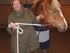 Horsemann ship kursus