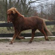 Raudrekki løs på banen!:D