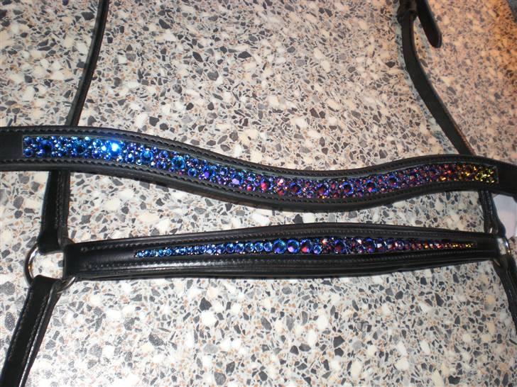 SD pandebånd + næsebånd billede 1