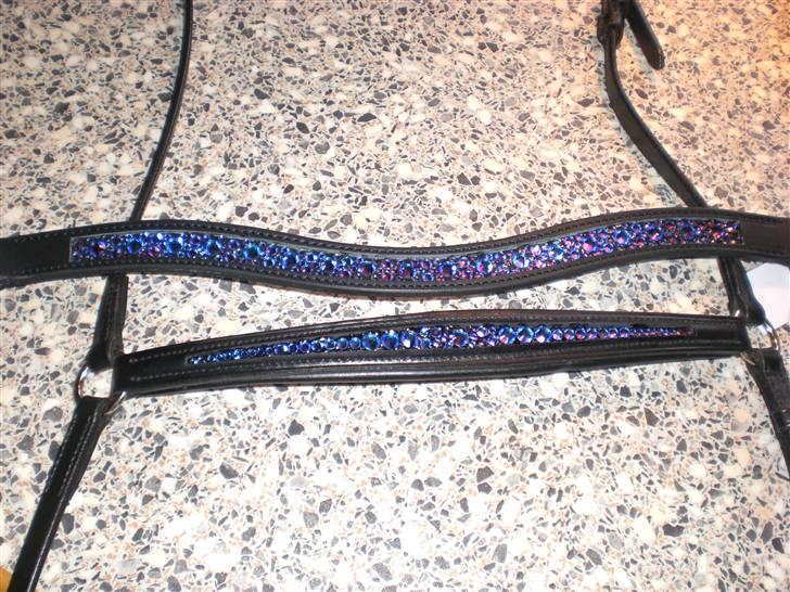 SD pandebånd + næsebånd billede 2