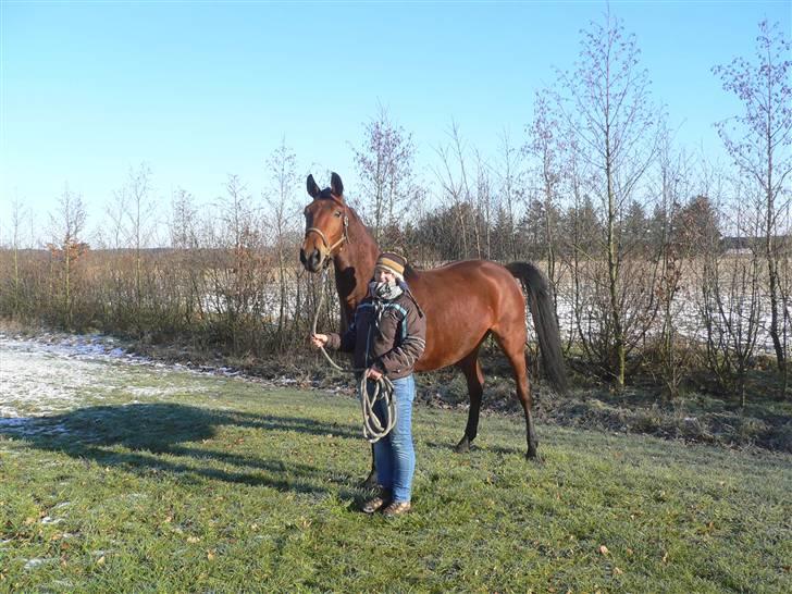 Stald Asbo´s Babe - Mig og Babe :) ikke så stor endnu. billede 1