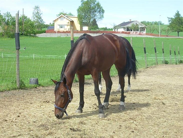 {{currentPhoto.altText}} billede {{currentPhoto.number}}