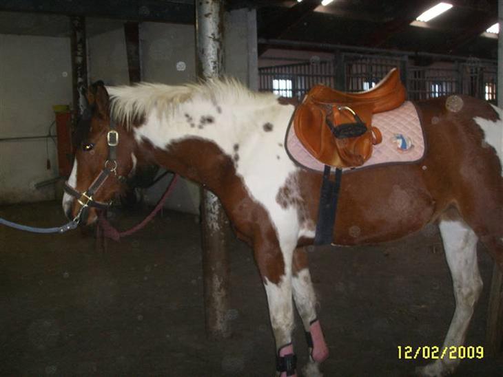 {{currentPhoto.altText}} billede {{currentPhoto.number}}