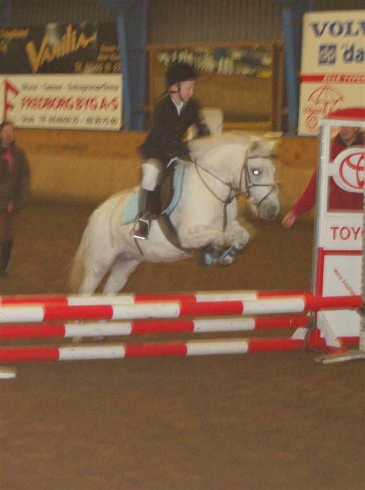 Lucky - Lucky til stævne i Viborg billede 8