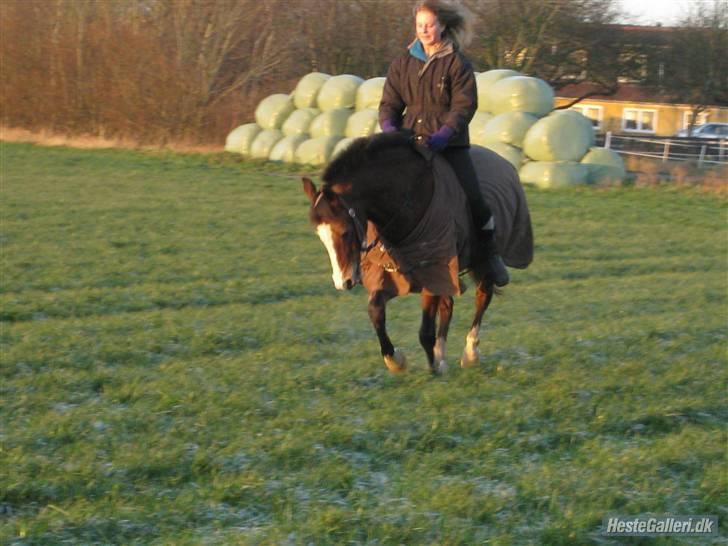 Dyr fra vesterheden ;D - Mig og Tjano i gallop foran Vesterhedeb ;D ( uden ridehjelm, uuups!!! ) billede 17