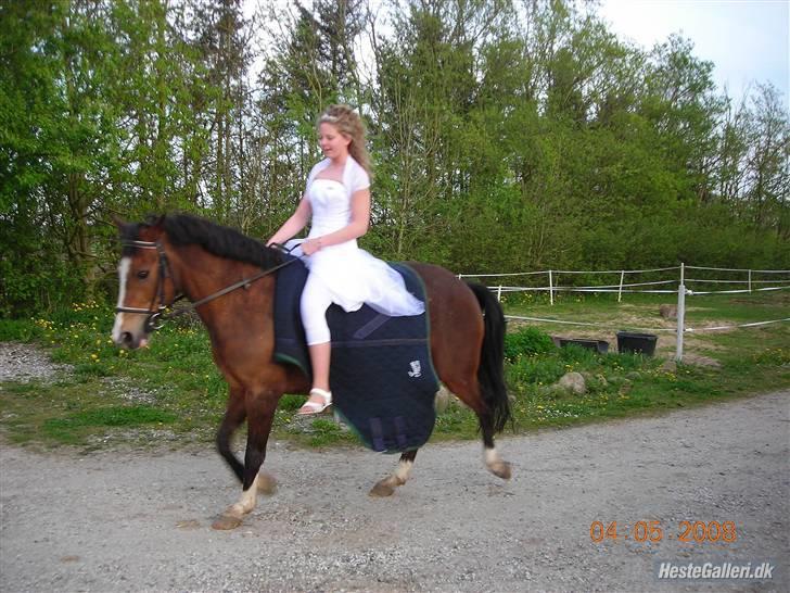 Dyr fra vesterheden ;D - Mig og Tjano på Vesterheden til min konfirmation <*33333 sååå mange minder fra det sted :') billede 18